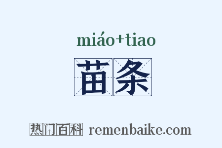 苗条是什么意思的图片